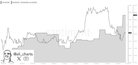 Dogecoin Whales Engage In 470 Million Doge Buying Spree During Bullish Recovery Across Key Metrics