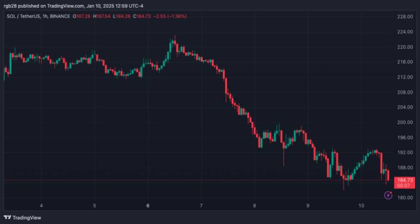 Solana Testing Crucial Support Levels: Will It Bounce To 0 Or Surge To 0 Next?