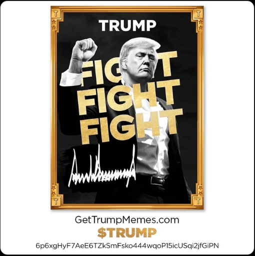 Youtuber Coffeezilla Accuses Trump Coin Of 100% Scam