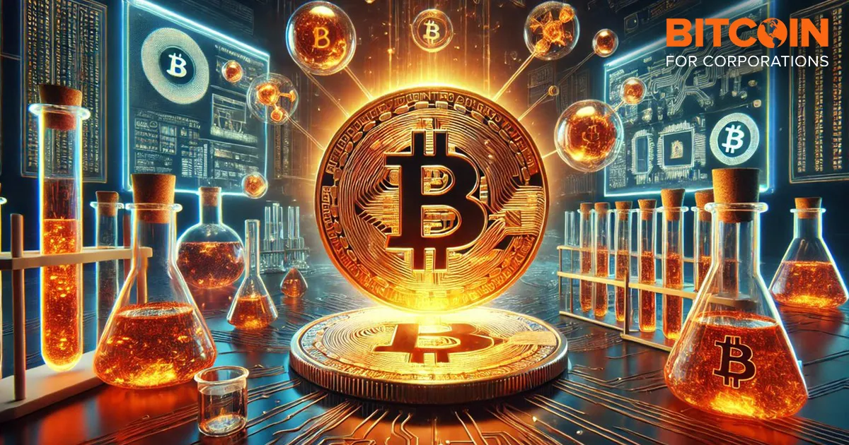 Ultimate Guide: Measuring The Success Of Your Bitcoin Treasury Company Ultimate Guide: Measuring The Success Of Your Bitcoin Treasury Company