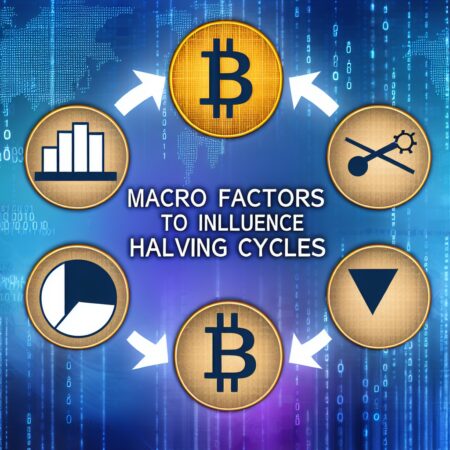 Tim Draper Predicts Macro Factors To Impact Bitcoin's Halving Cycle