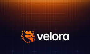 velora 1