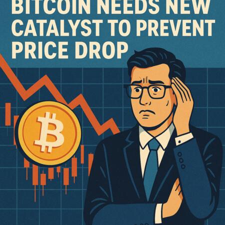 Crypto Experts Warn: Bitcoin Needs New Catalyst to Prevent Price Drop Crypto Experts Warn: Bitcoin Needs New Catalyst To Prevent Price Drop