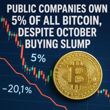 Public Companies Own 5% Of All Bitcoin, Despite October Buying Slump