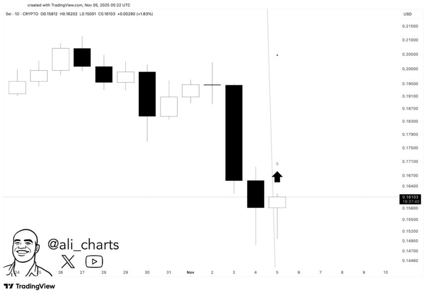 Sei Shows Early Signs Of Recovery After Td Sequential Buy Signal And Technical Momentum Shift Sei Shows Early Signs Of Recovery After Td Sequential Buy Signal And Technical Momentum Shift