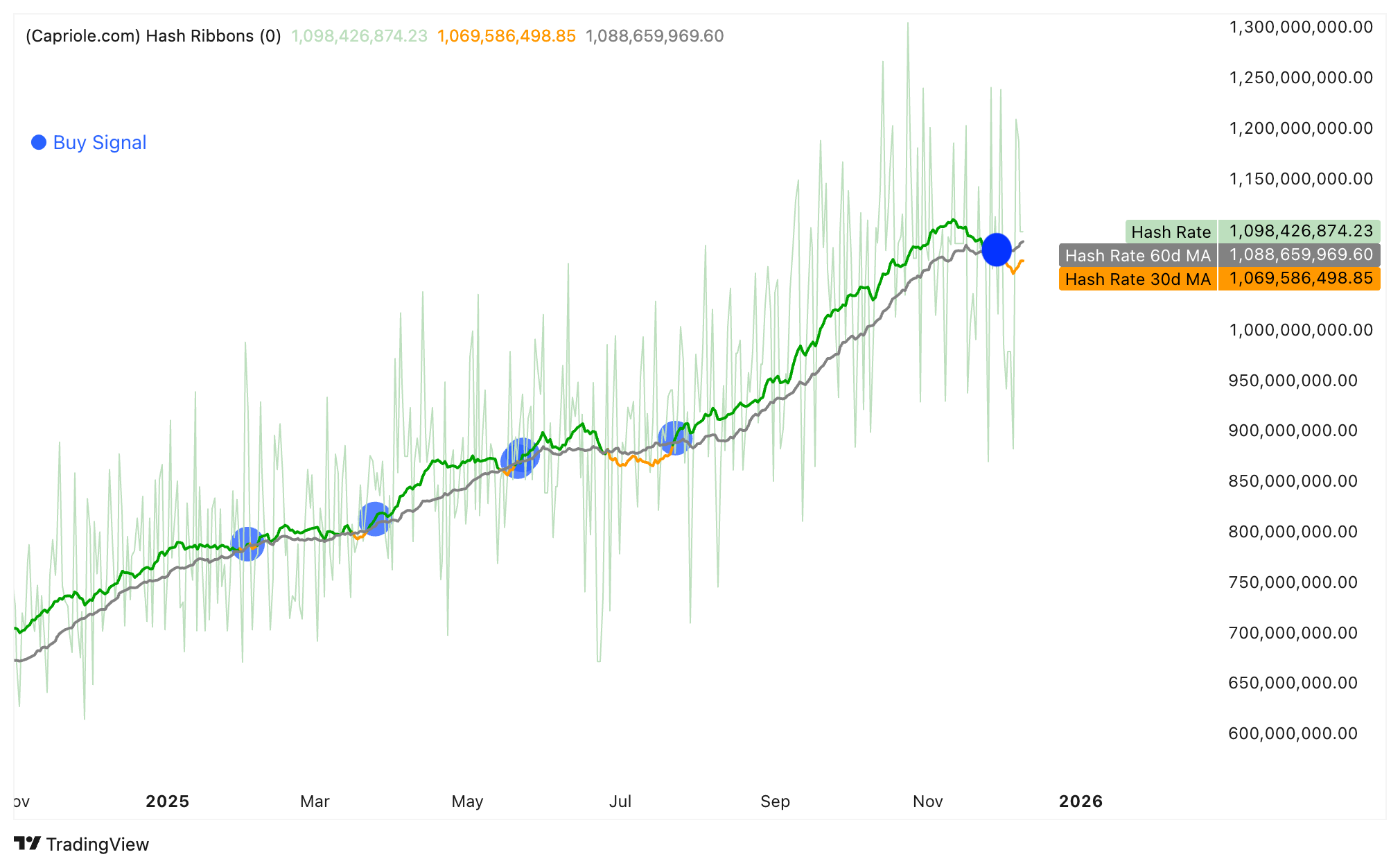 Bitcoin Hash Ribbons chart