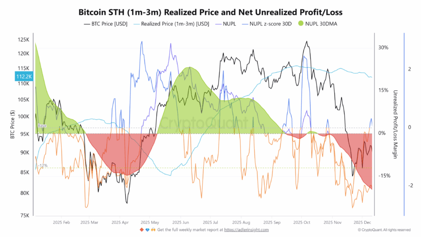 Bitcoin realized price and NUPL range