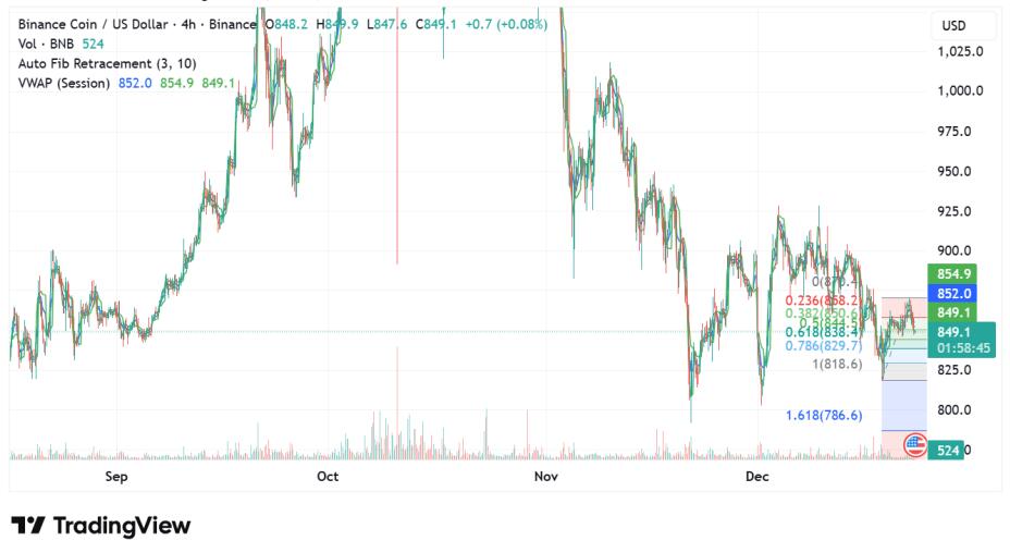 Bnb Shows Renewed Strength After Reclaiming Key Support Zone
