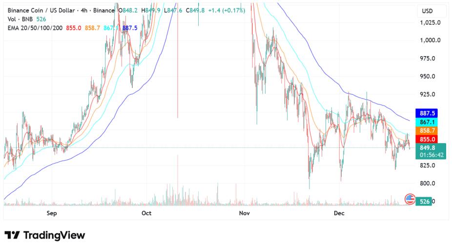 Bnb Shows Renewed Strength After Reclaiming Key Support Zone