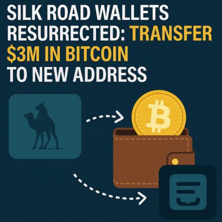 Silk Road Wallets Resurrected: Transfer $3M in Bitcoin to New Address Silk Road Wallets Resurrected: Transfer $3m In Bitcoin To New Address