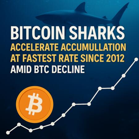 Bitcoin Sharks Accelerate Accumulation At Fastest Rate Since 2012 Amid Btc Decline
