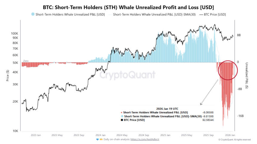 Bitcoin short-term holders unrealized PnL. Source: CryptoQuant