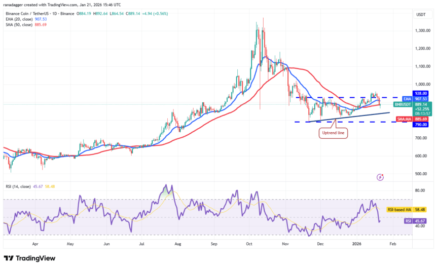 BNB/USDT daily chart. BNB/USDT daily chart. Source: Cointelegraph/TradingView