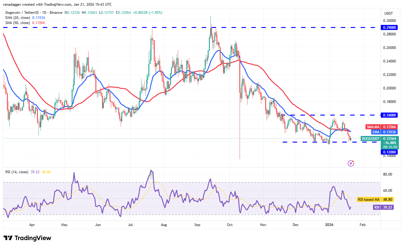 DOGE/USDT daily chart. DOGE/USDT daily chart. Source: Cointelegraph/TradingView