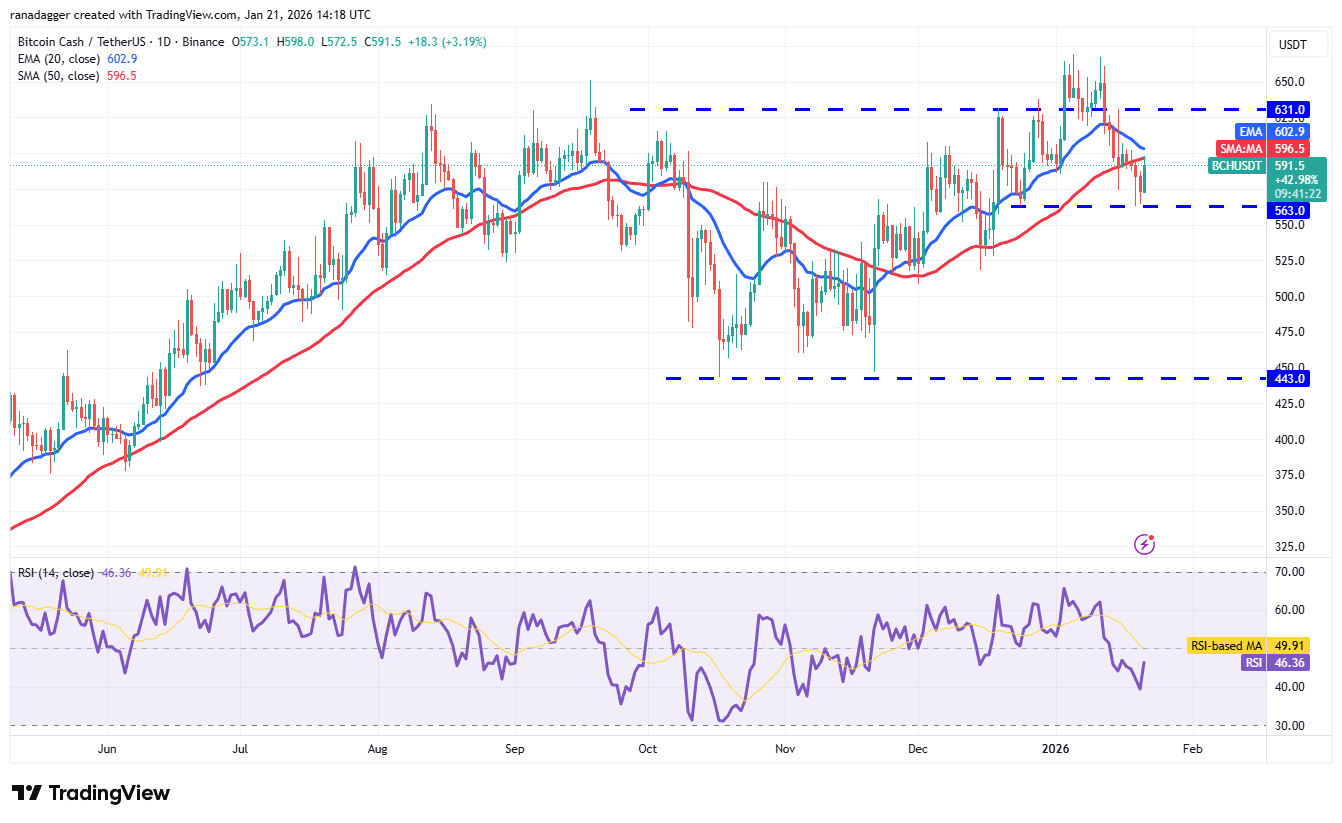 BCH/USDT daily chart. BCH/USDT daily chart. Source: Cointelegraph/TradingView