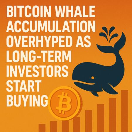 Bitcoin Whale Accumulation Overhyped as Long-Term Investors Start Buying Bitcoin Whale Accumulation Overhyped As Long-Term Investors Start Buying