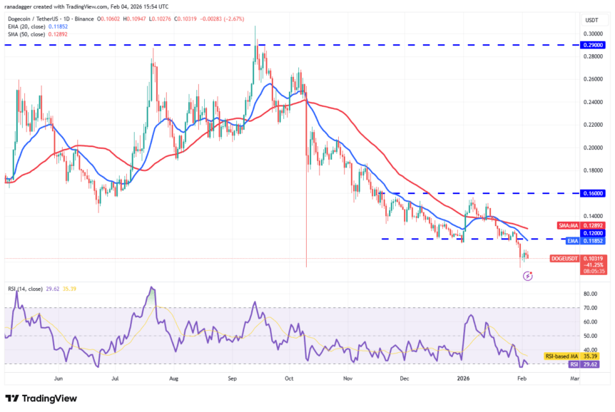 DOGE/USDT daily chart