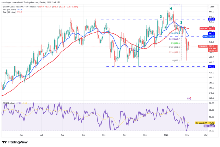 BCH/USDT daily chart