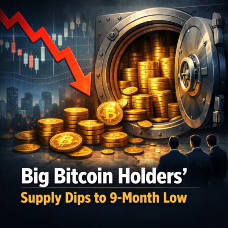 Big Bitcoin Holders' Supply Dips To 9-Month Low