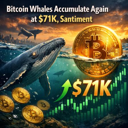 Bitcoin Whales Accumulate Again at $71K, Santiment Bitcoin Whales Accumulate Again At $71k, Santiment