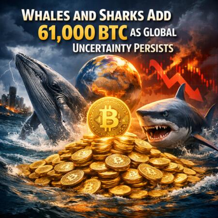 Whales and Sharks Add 61,000 BTC as Global Uncertainty Persists Whales And Sharks Add 61,000 Btc As Global Uncertainty Persists