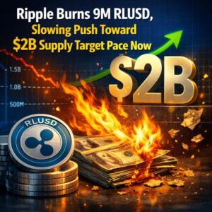 Ripple Burns 9M RLUSD, Slowing Push Toward $2B Supply Target Pace Now Cb 458856 Ripple Burns 9m Rlusd Slowing Push Toward 2b Supply Target Pace Now