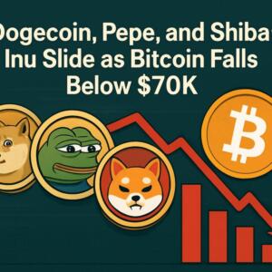 Dogecoin Pepe And Shiba Inu Slide As Bitcoin Falls Below 70k