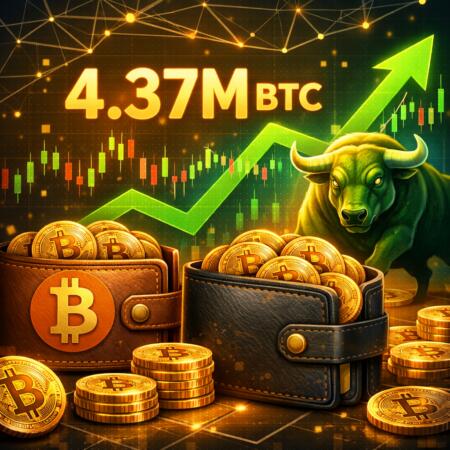 Bitcoin Wallets Hold 4.37m Btc As On-Chain Activity Turns Bullish