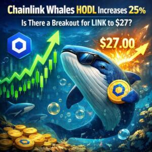 Cb 459555 Chainlink Whales Hodl Increases 25 Is There A Breakout For Link To 27