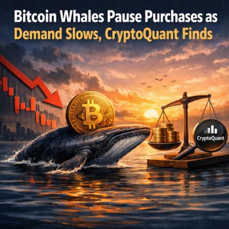 Bitcoin Whales Pause Purchases As Demand Slows, Cryptoquant Finds