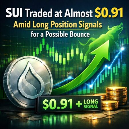 Sui Traded At Almost 0 91 Amid Long Position Signals For A Possible Bounce