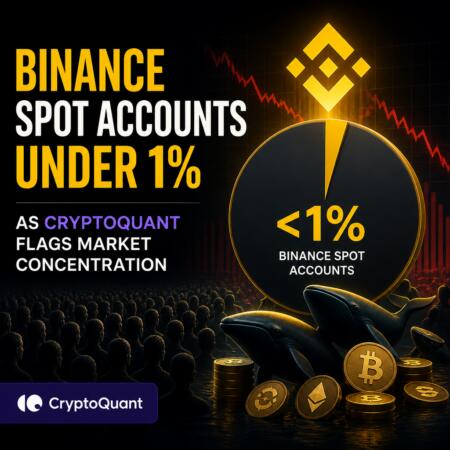Binance Spot Accounts Under 1% As Cryptoquant Flags Market Concentration
