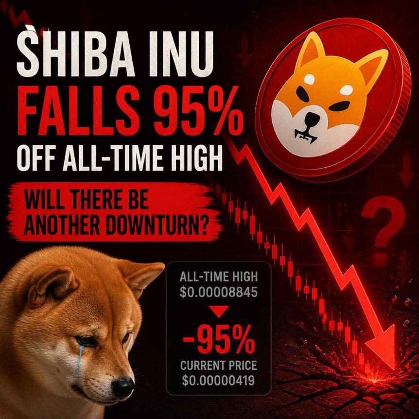 Shiba Inu Falls 95 Off All Time High Will There Be Another Downturn