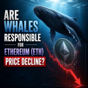 Are Whales Responsible For Ethereum (Eth) Price Decline Are Whales Responsible For Ethereum Eth Price Decline
