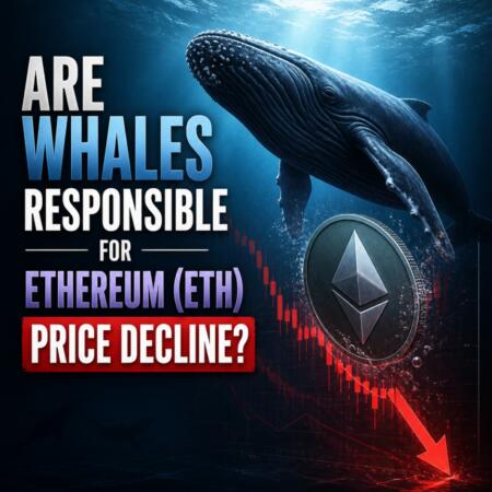 Are Whales Responsible For Ethereum (Eth) Price Decline Are Whales Responsible For Ethereum Eth Price Decline