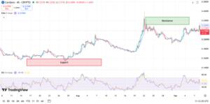 Cardano Price Faces Key Test At $0.22 After Failed Breakout