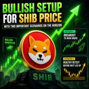 Bullish Setup For Shib Price With Two Important Scenarios On The Horizon