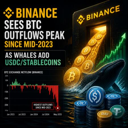 Binance Sees Btc Outflows Peak Since Mid-2023 As Whales Add Usdc/stablecoins
