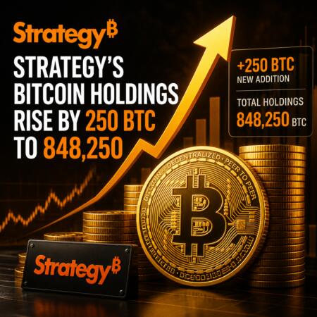 Strategy’s Bitcoin Holdings Rise By 250 Btc To 848,250