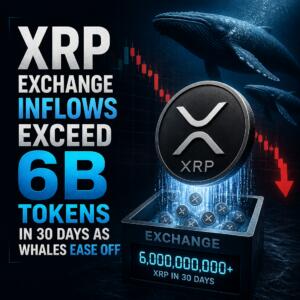XRP Exchange Inflows Exceed 6B Tokens in 30 Days as Whales Ease Off Xrp Exchange Inflows Exceed 6b Tokens In 30 Days As Whales Ease Off