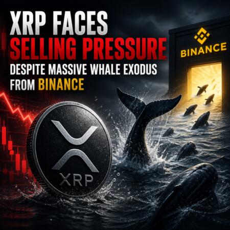 Xrp Faces Selling Pressure Despite Massive Whale Exodus From Binance